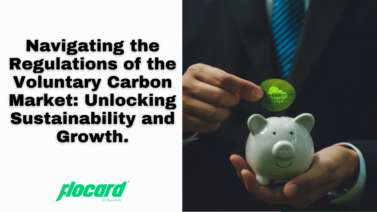 Understanding Regulation in the Voluntary Carbon Market