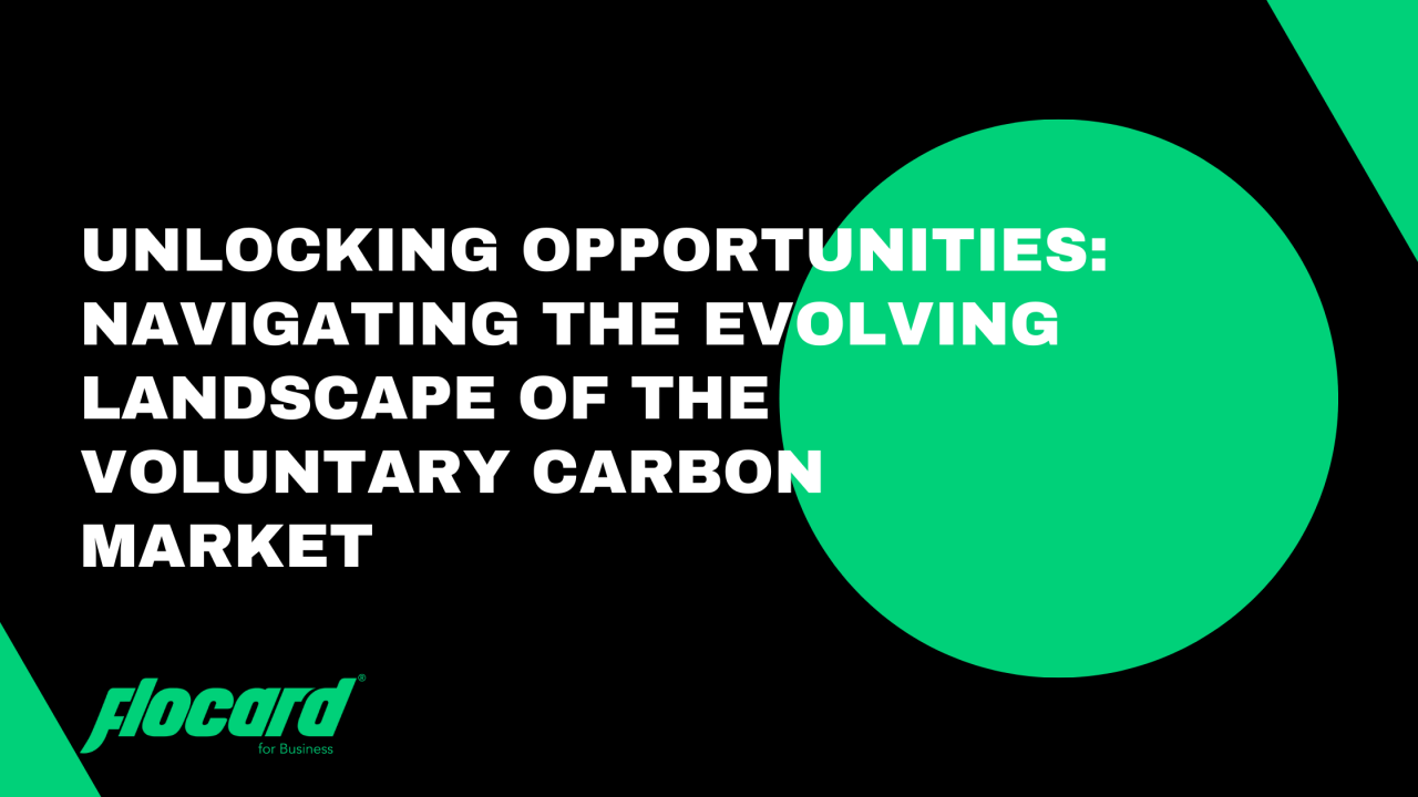 The Next Wave: How Tech Innovations Are Shaping the Voluntary Carbon Market